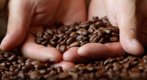 cual es el origen del café